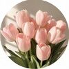 valentinam1151